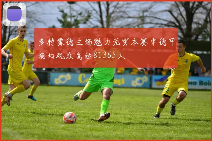 多特蒙德主场魅力无穷本赛季德甲场均观众高达81365人